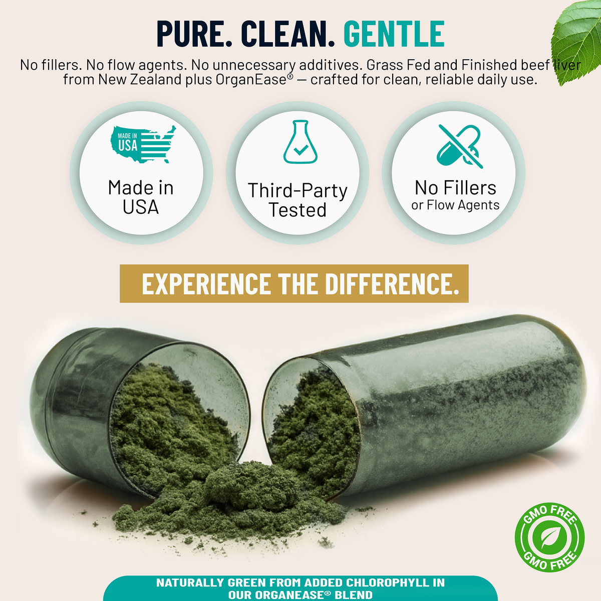 Beef Liver Gentle - The Power of Beef Liver — Without the Aftertaste, Odor, or Discomfort.