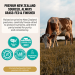 Beef Liver Gentle - The Power of Beef Liver — Without the Aftertaste, Odor, or Discomfort.