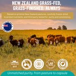 Beef Liver Gentle - The Power of Beef Liver — Without the Aftertaste, Odor, or Discomfort.