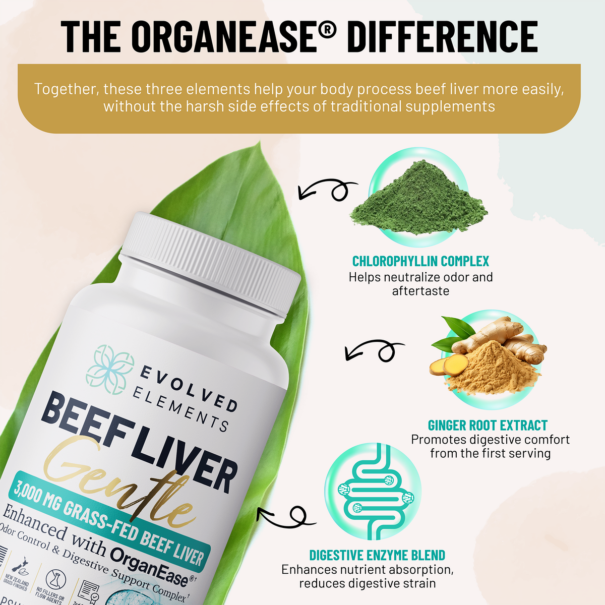 Beef Liver Gentle - The Power of Beef Liver — Without the Aftertaste, Odor, or Discomfort.