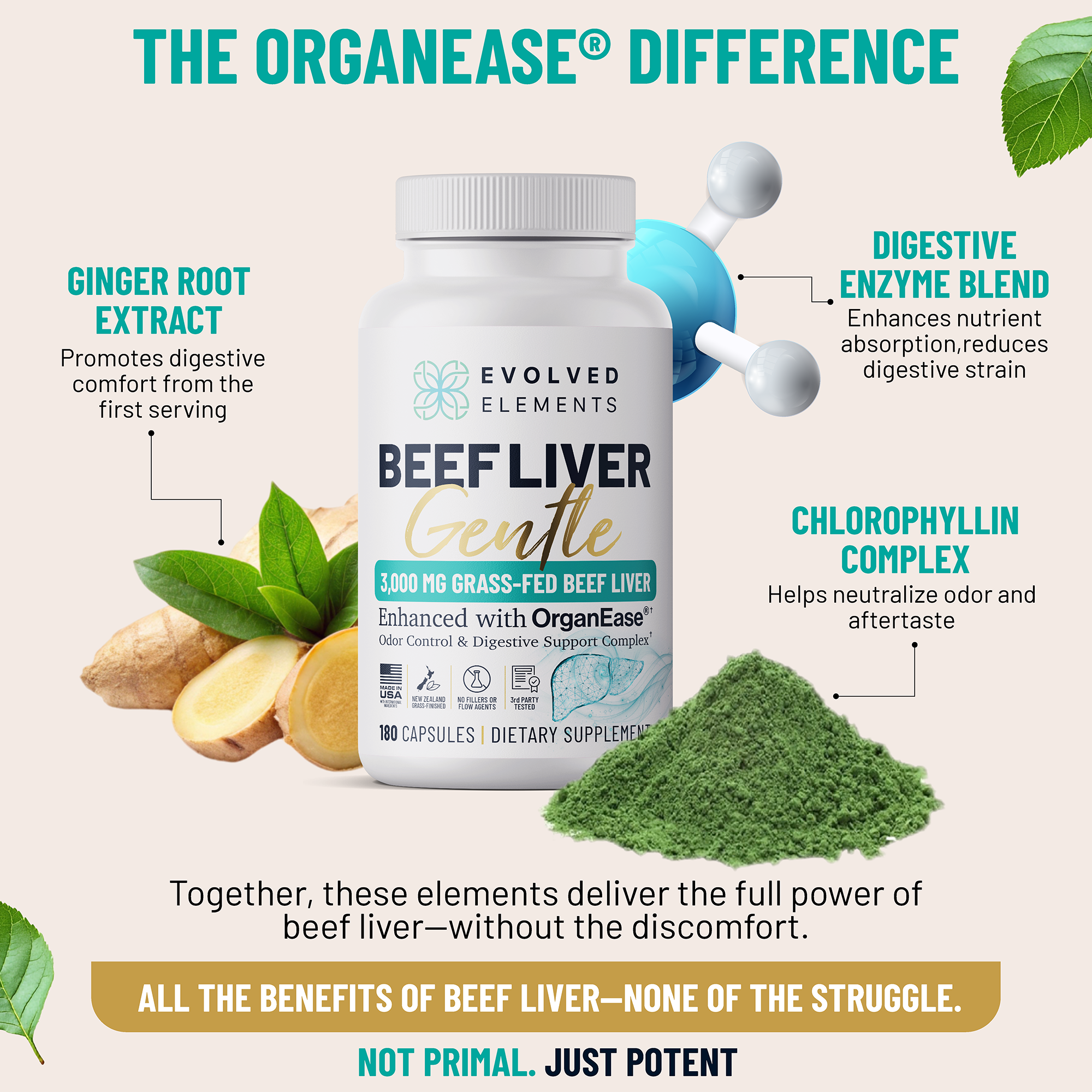Beef Liver Gentle | Grass-Fed NZ Liver Capsules for Thyroid Support – Evolved Elements